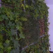 Jardín Vertical, Holanda.