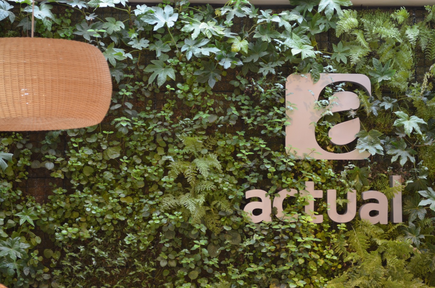 Jardín con logo y lámpara